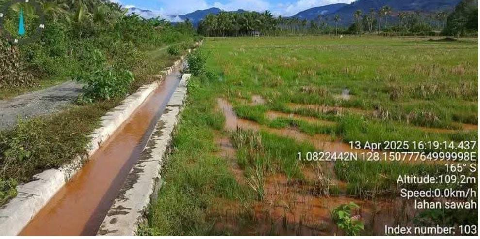 Berdasarkan temuan warga, dampaknya sudah terlihat nyata persawahan tergenang dan hasil panen terancam gagal total