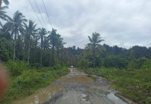 GPM Desak KPK dan Kejagung Telusuri Proyek Jalan Nasional di Maluku Utara