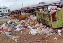 Warga dan Pedagang Keluhkan Tumpukan Sampah Berbau Busuk di Pasar Tradisional Sanana