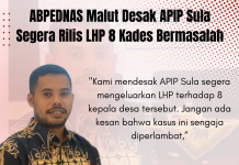 ABPEDNAS Malut Desak APIP Sula Segera Rilis LHP 8 Kades Bermasalah