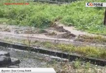 Warga Kalumata Keluhkan Jalan Rusak Parah, Pemkot Ternate Diminta Bertindak Cepat