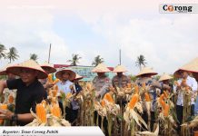 Polres Lampung Selatan Gelar Panen Raya Jagung, Dipimpin Langsung Kapolres Toni Kasmiri