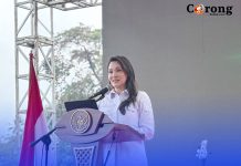 Gubernur Malut Buka 12.000 Lowongan Pemanjat Kelapa Lewat Aplikasi Job Seeker