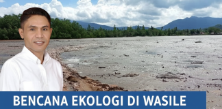 Bencana Ekologi di Wasile, Formapas Minta ESDM Bekukan Izin PT JAS dan PT ARA