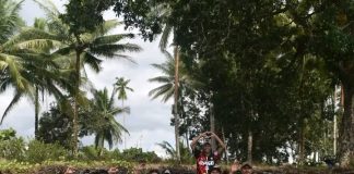 Mahasiswa FPIK Unipas Morotai Tanam 130 Bibit Mangrove untuk Tekan Abrasi di Desa Usbar Pantai