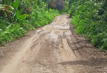 Ruas payahe-Dehepodo rusak parah Agaran pemeliharaan Dipertanyakan