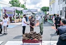 Kejari Lampung Musnahkan Barang Bukti 82 Perkara, 2,6 Kilo Sabu & 172 Kilo Ganja Dibakar!