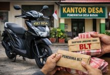 Aset Desa Tak Dikembalikan, BLT Diduga Salah Sasaran, Warga Busua Desak Audit Dana Desa
